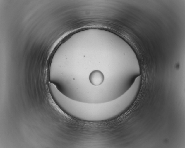 X0000115391092200912011223