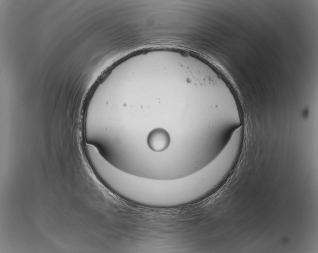 X0000115391093200912011223