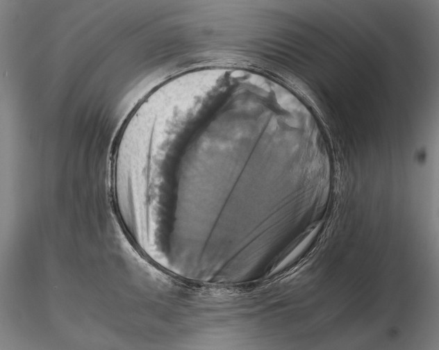 X0000115391095200912011223