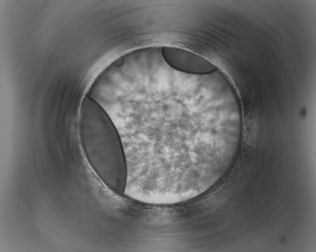 X0000115391096200912011223