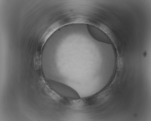 X0000115391097200912011223