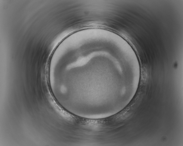 X0000115391098200912011223