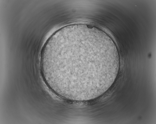 X0000115391099200912011223