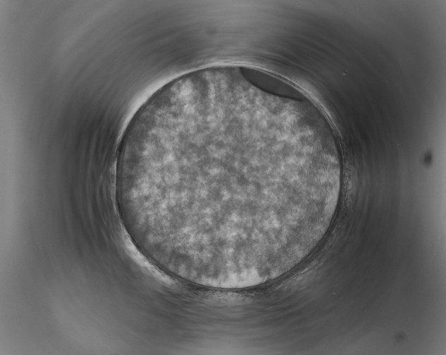 X0000115391100200912011223