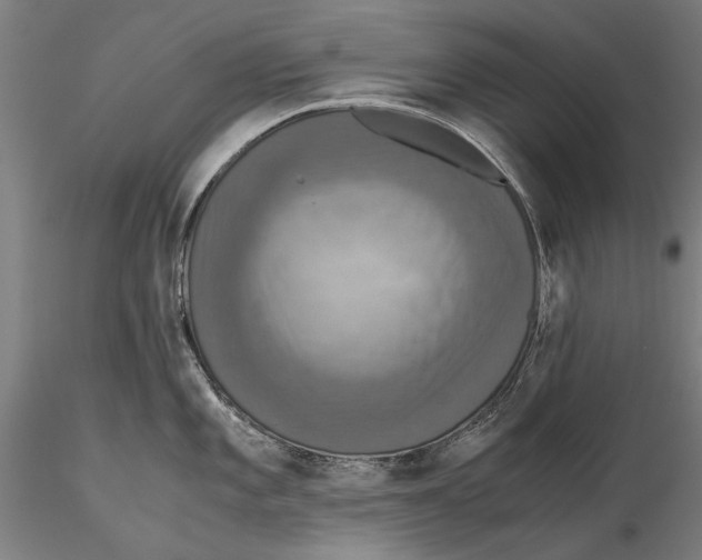 X0000115391101200912011223