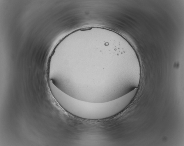 X0000115391104200912011223