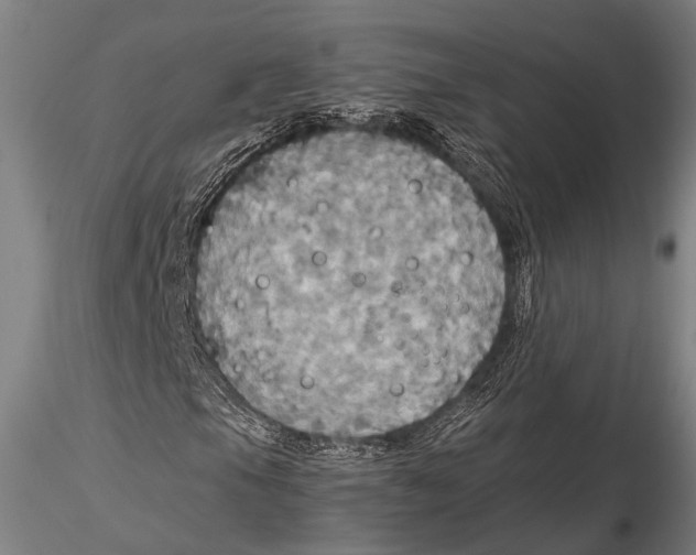 X0000115391105200912011222