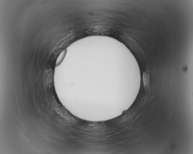 X0000115391107200912011222