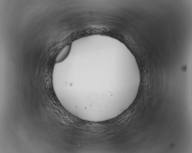 X0000115391109200912011222