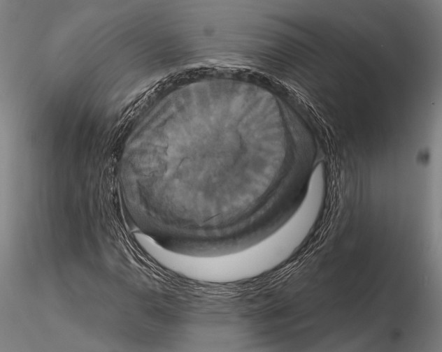 X0000115391110200912011222