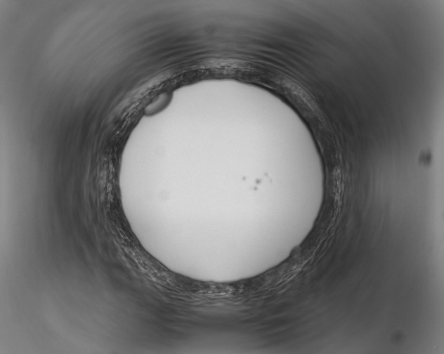 X0000115391111200912011222