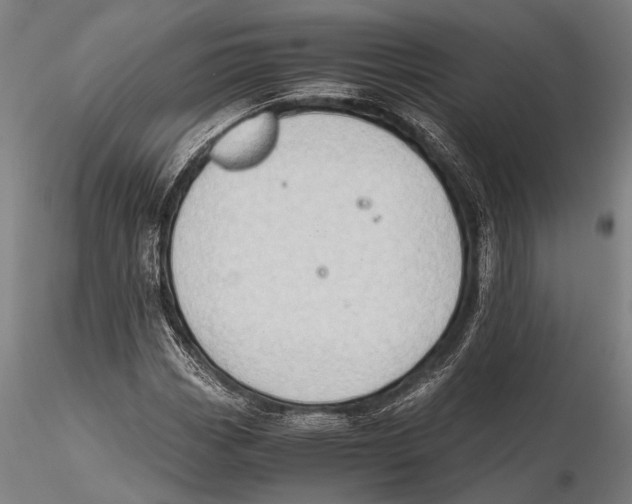 X0000115391113200912011222