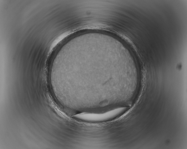 X0000115391114200912011222