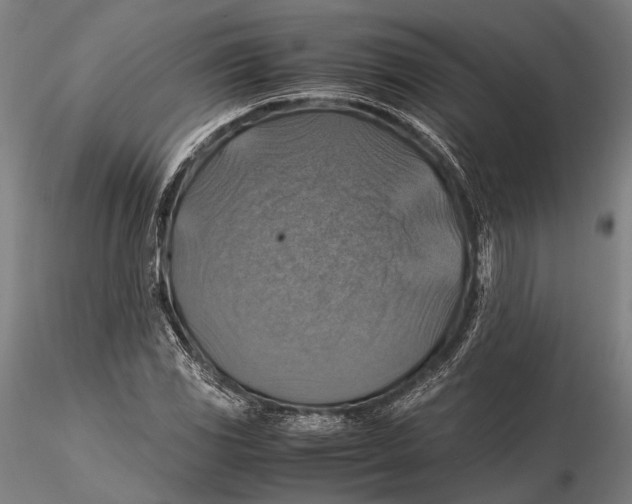 X0000115391117200912011222