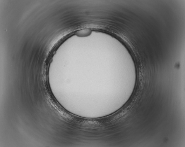 X0000115391119200912011222