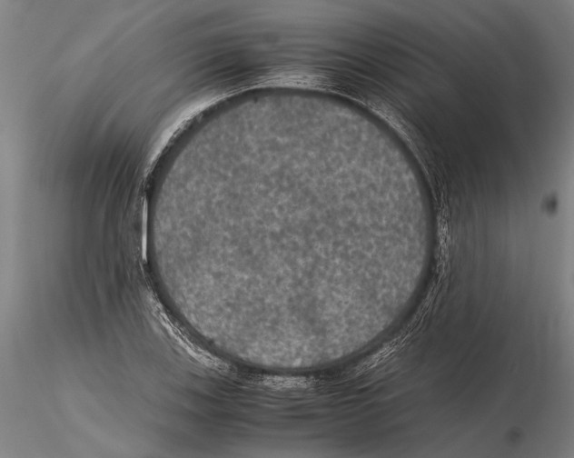 X0000115391123200912011222