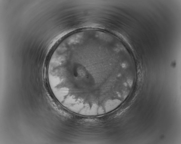 X0000115391125200912011222