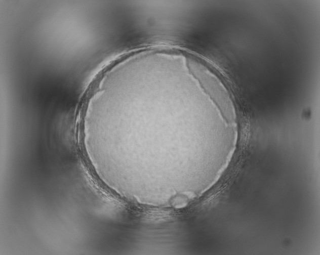 X0000115391126200912011222