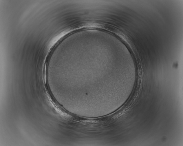 X0000115391127200912011222