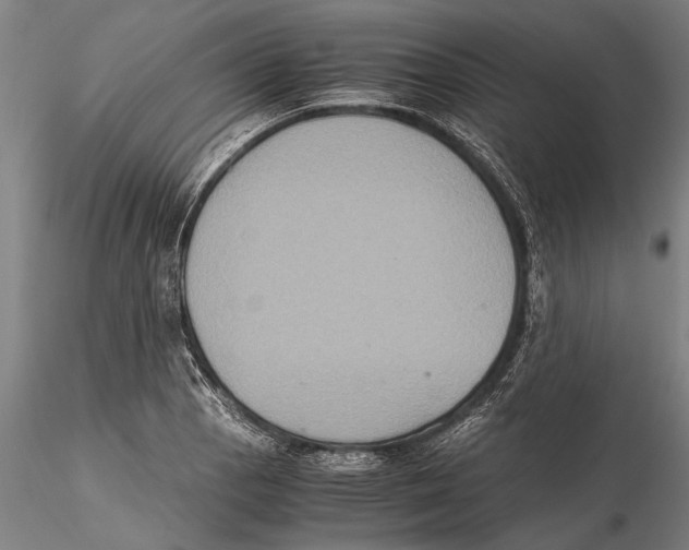 X0000115391129200912011222