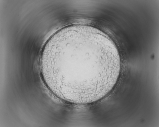 X0000115391130200912011222