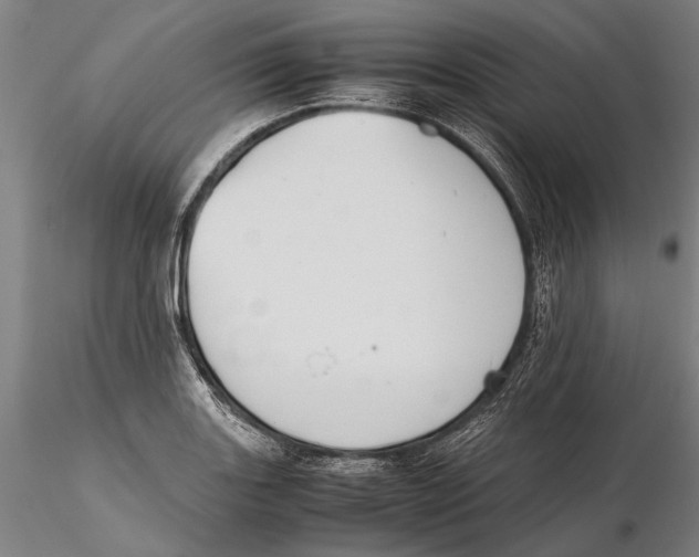 X0000115391131200912011222