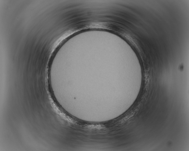 X0000115391133200912011222