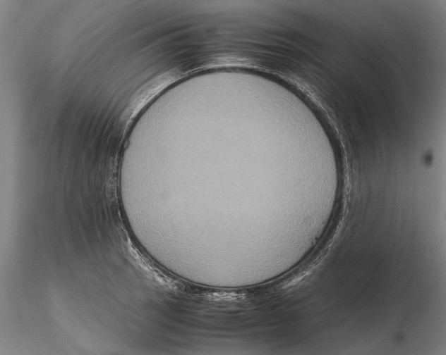 X0000115391137200912011222