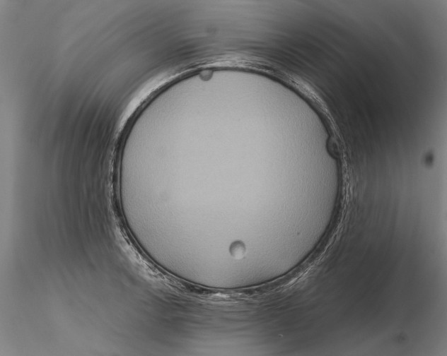 X0000115391138200912011222