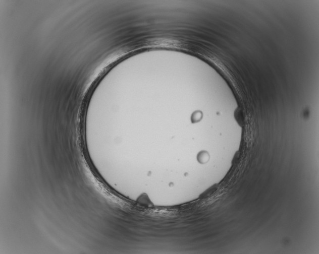 X0000115391139200912011222