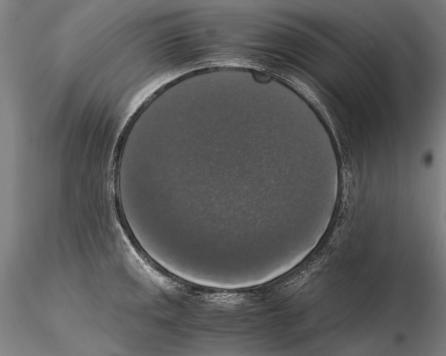 X0000115391141200912011223