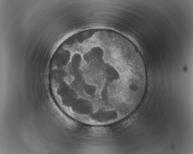 X0000115391142200912011223