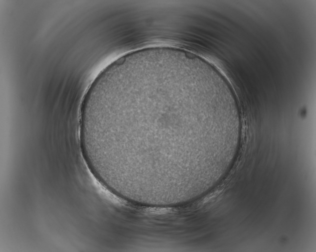 X0000115391143200912011223