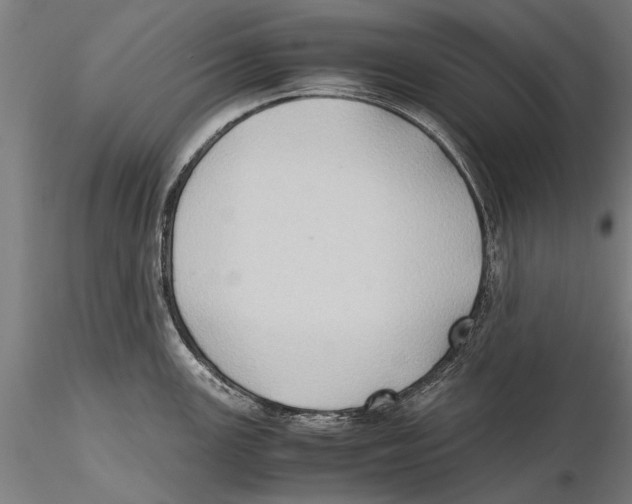 X0000115391147200912011223