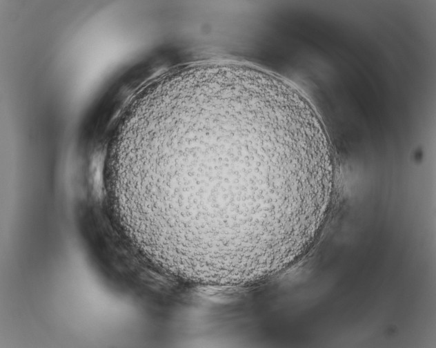 X0000115391150200912011223