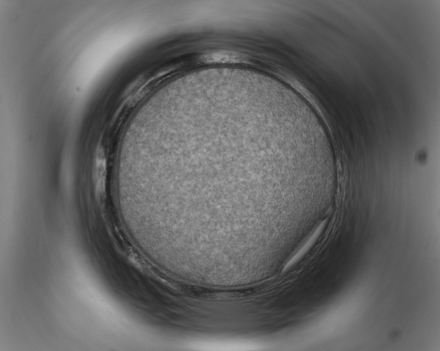 X0000115391151200912011223