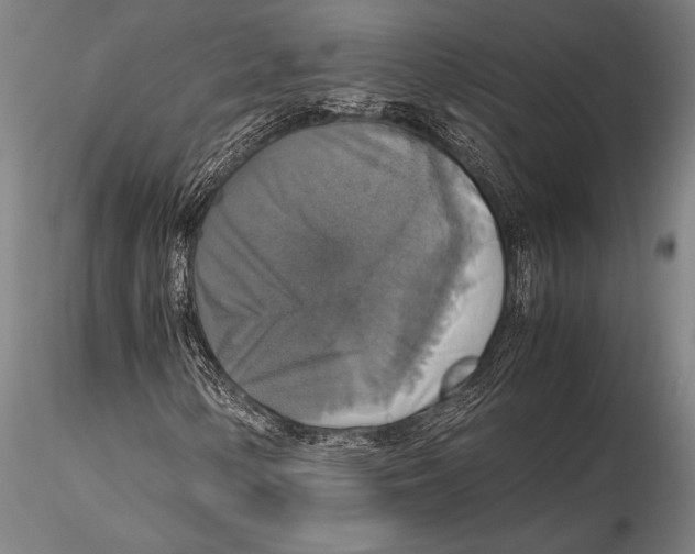 X0000115391154200912011222