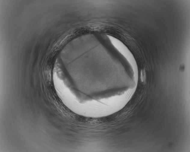 X0000115391155200912011222