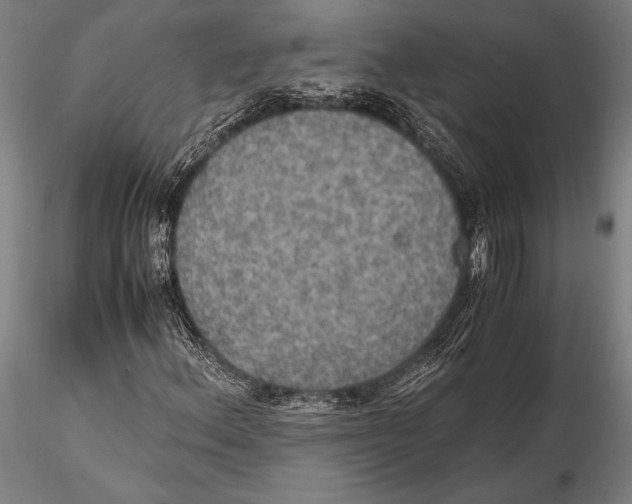 X0000115391156200912011222