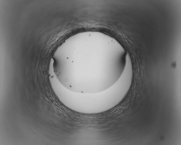 X0000115391157200912011222