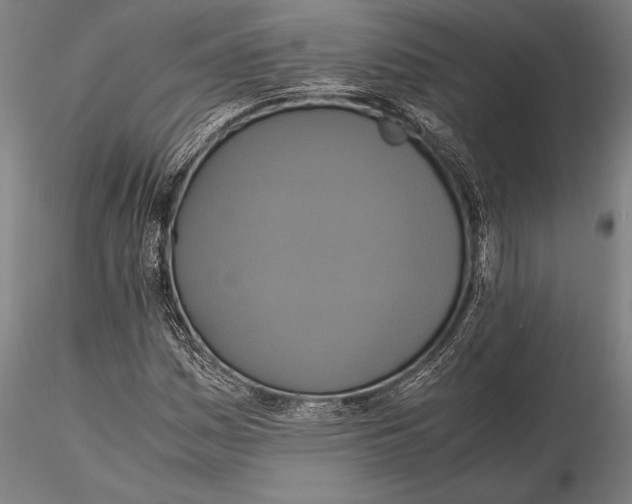 X0000115391161200912011222