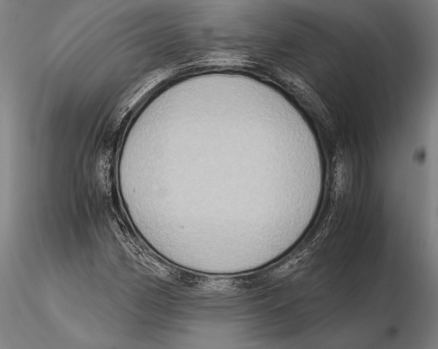 X0000115391162200912011222