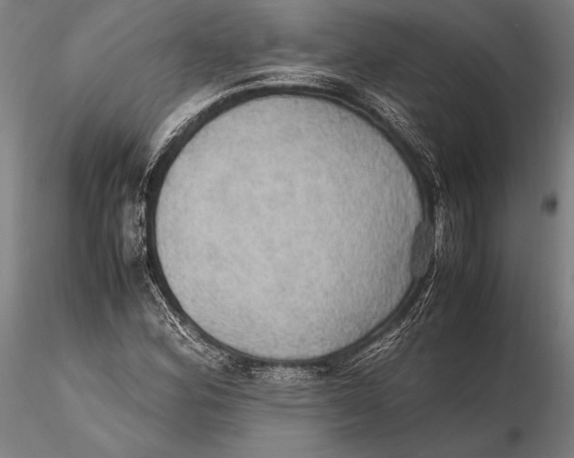 X0000115391164200912011222