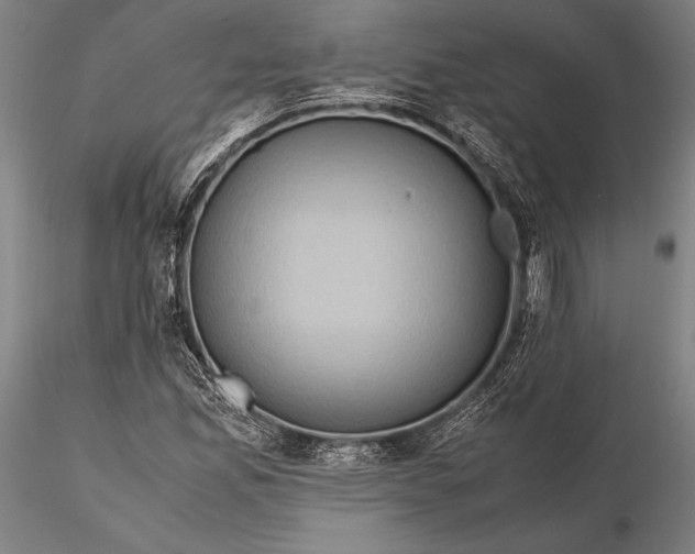 X0000115391165200912011222