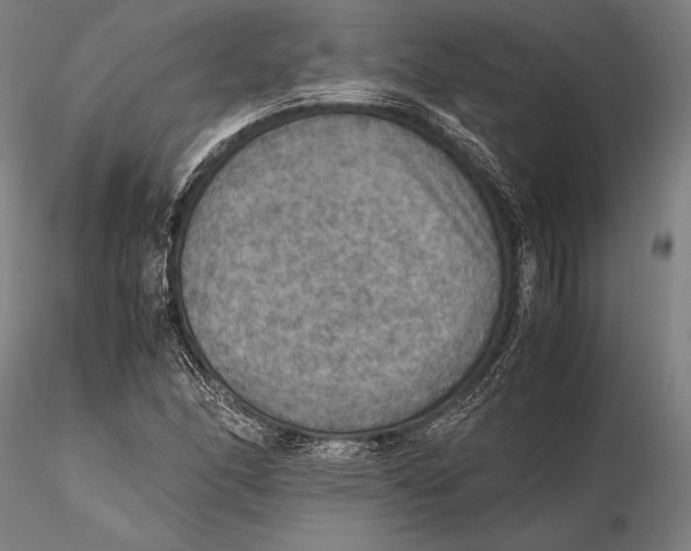 X0000115391166200912011222