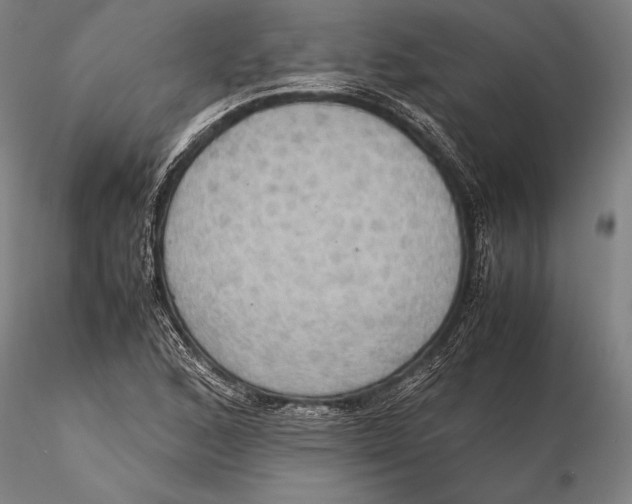 X0000115391168200912011222