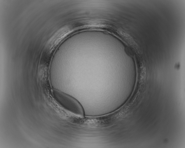 X0000115391169200912011222