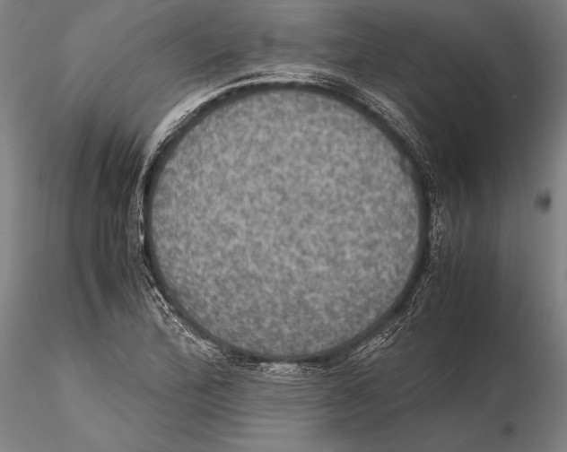 X0000115391172200912011221