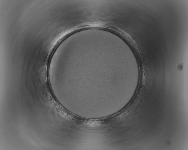 X0000115391174200912011221