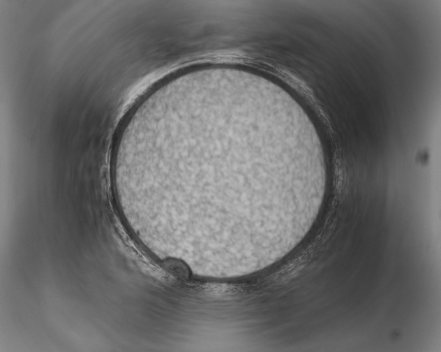 X0000115391176200912011221